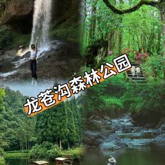 荥经龙苍景园民宿(龙苍沟国家森林公园店)·农家乐 여행 사진