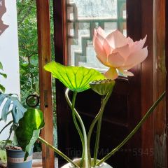 浣月茶舍 User Photo