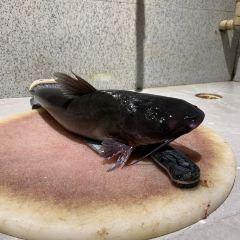 缘友鱼庄(老字号铜锅鱼) User Photo