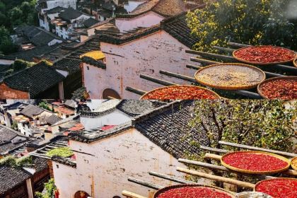 自在·日咖夜酒