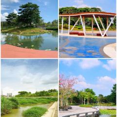 光明刘冰乳鸽店(光明法政北路店) User Photo