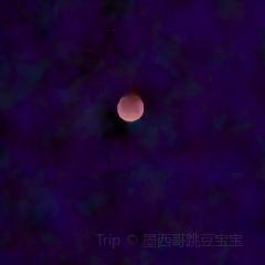 城牆人家酒樓張用戶圖片