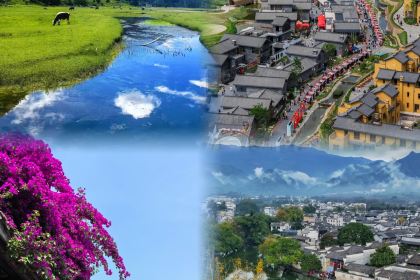 RU YI LIN KA TONG GUO MAO NIU ROU