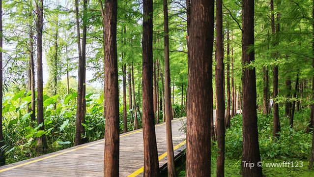 shui shan bu dao - da ka dian