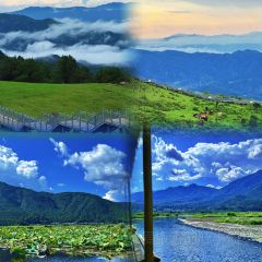 Cun Da Guan User Photo