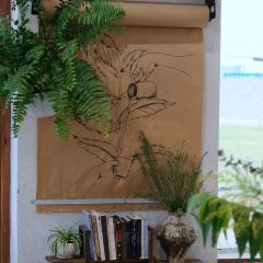 六月瓣咖啡 User Photo