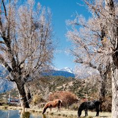 黑豆咖啡屋 User Photo