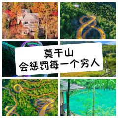 义远有机农场餐厅 User Photo