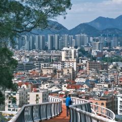 Da Fu Xing Yu Wan (Mei Shi Jie) User Photo