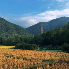 土灶头·天台味道(劳动路店) User Photo