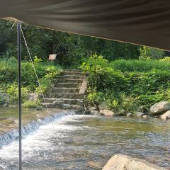 酥醪1號食住（酥醪店）張用戶圖片