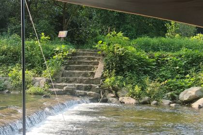 酥醪1號食住（酥醪店）