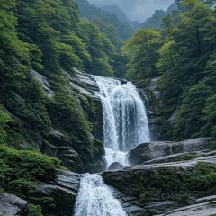 肖家饸饹面总店(郑州总店) User Photo