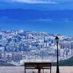 IN MY HEART User Photo