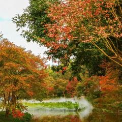 XIA NAN WA BAO JI User Photo