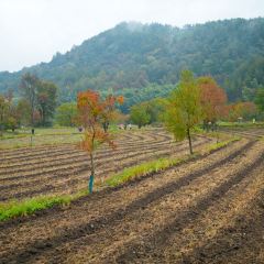 Sage Hall Homestay User Photo