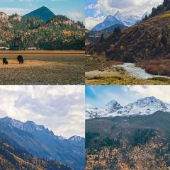 蓝湖驿站禅意酒店(然乌湖店)·餐厅 User Photo