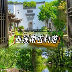 秀嫂挞粿 User Photo