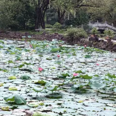 Old Kitchen User Photo