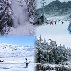 林记豆汤圆子火锅(招商店) User Photo