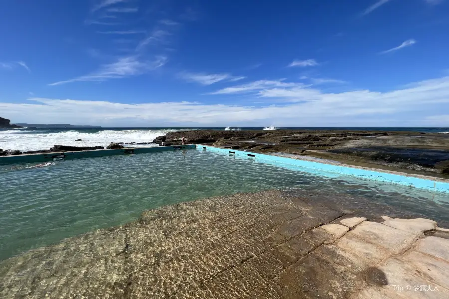 Whale Beach