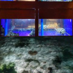 Cowrie Cove at Shangri-La's Mactan Resort & Spa User Photo
