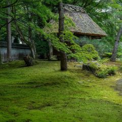 Tamakitei 여행 사진