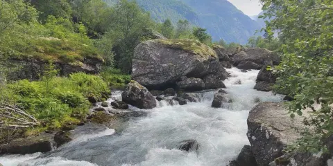 Baroniet Rosendal Garden Cafe