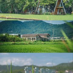 袁夫稻田火车餐厅 User Photo