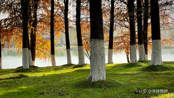 Kongmujiang National Wetland Park