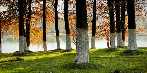 孔目江國家濕地公園