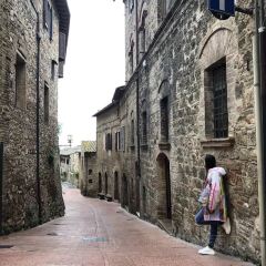 Gelateria Dondoli張用戶圖片