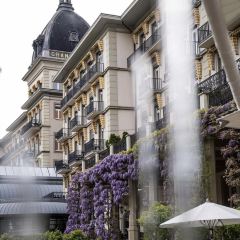 La Terrasse Brasserie張用戶圖片