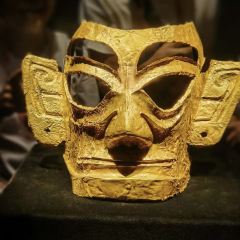 Orangutan Bunker User Photo