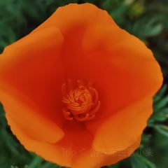 云南人家(大屯店) User Photo