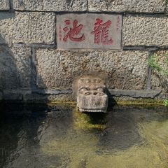 全福农庄 User Photo