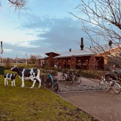 Bief&Burgers User Photo