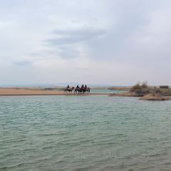 苏子拉面(钻石城店) 여행 사진