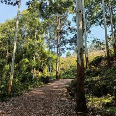 山涧别院 User Photo