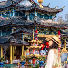 芒团纸村农家 User Photo