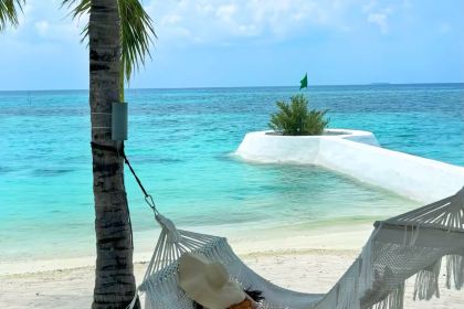 Moonlight - FOOD . DRINKS . SHISHA