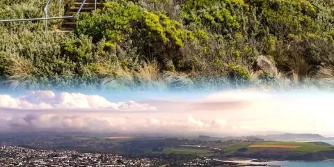 Prem's Seafood Bar& Grill