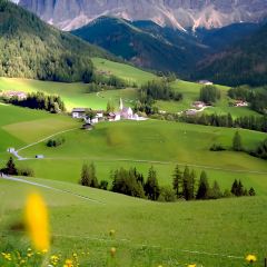 Dusler Alm User Photo