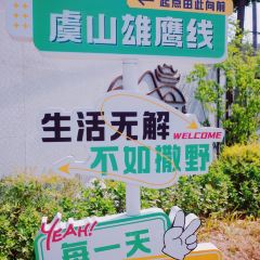 清雅茶苑(山湾里店) User Photo