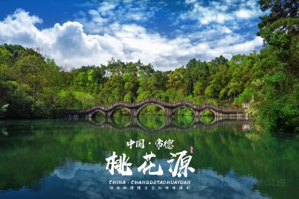 梦回桃花园擂茶(伯赞路旗舰店)