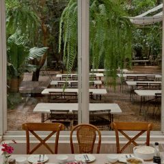 Little Tree Restaurant User Photo