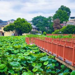 新郭记油茶(八角塘店) User Photo