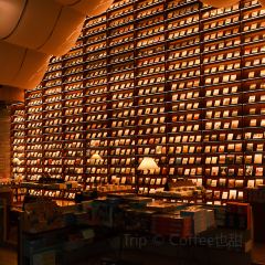 构想几何·咖啡工厂店(沈荡谷仓店) User Photo