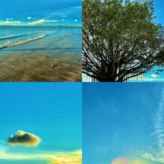 Xikou Liub Goose meat shop User Photo