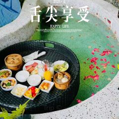 青城山春山外精品汤屋度假酒店·大堂吧 User Photo